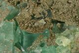 Green Fluorite Crystals with Druzy Pyrite - Fluorescent #136883-2